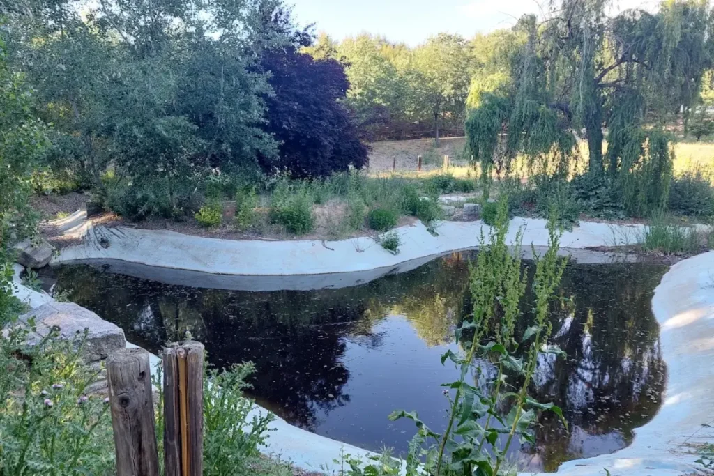 Bosque Sur en Fuenlabrada