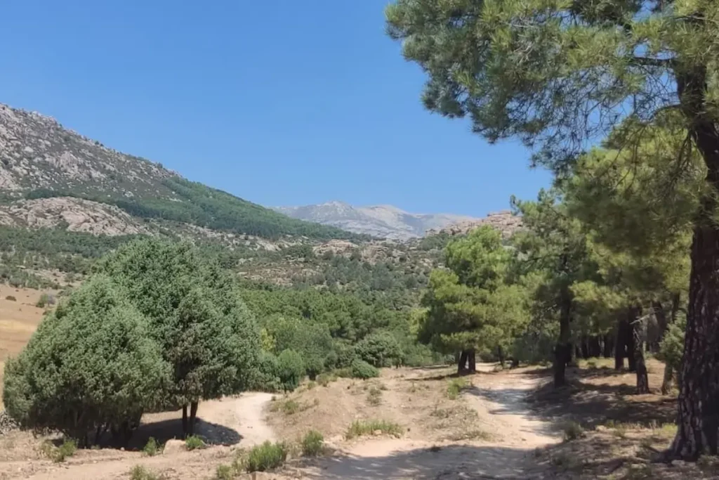 Cerro de la Jarosa en Manzanares el Real