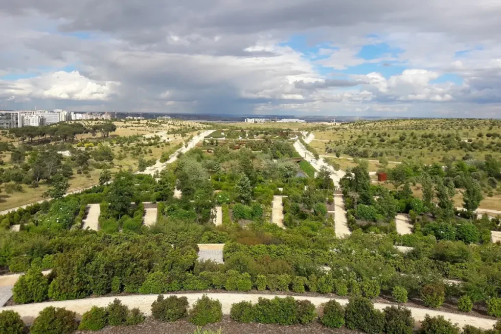Parque Forestal de Valdebebas-Felipe VI