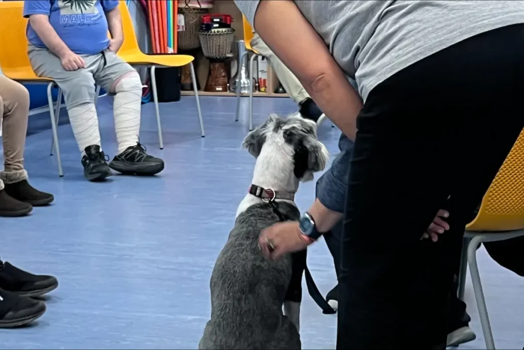 terapia con perros para trastornos mentales