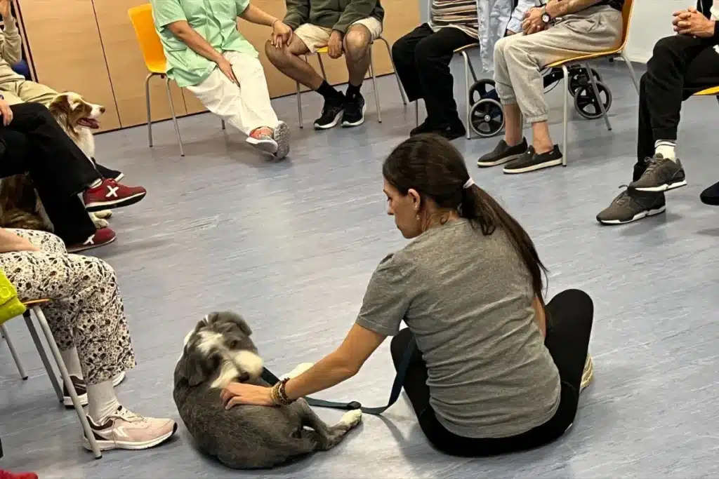 terapia con perros para trastornos mentales
