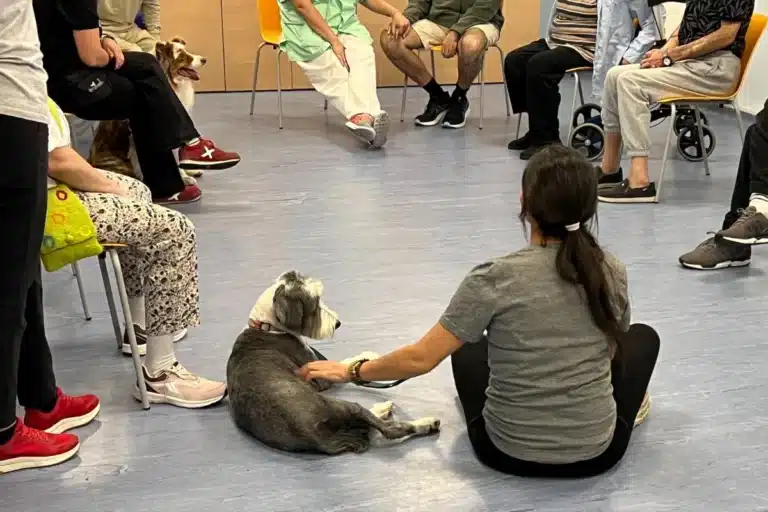 terapia con perros para trastornos mentales