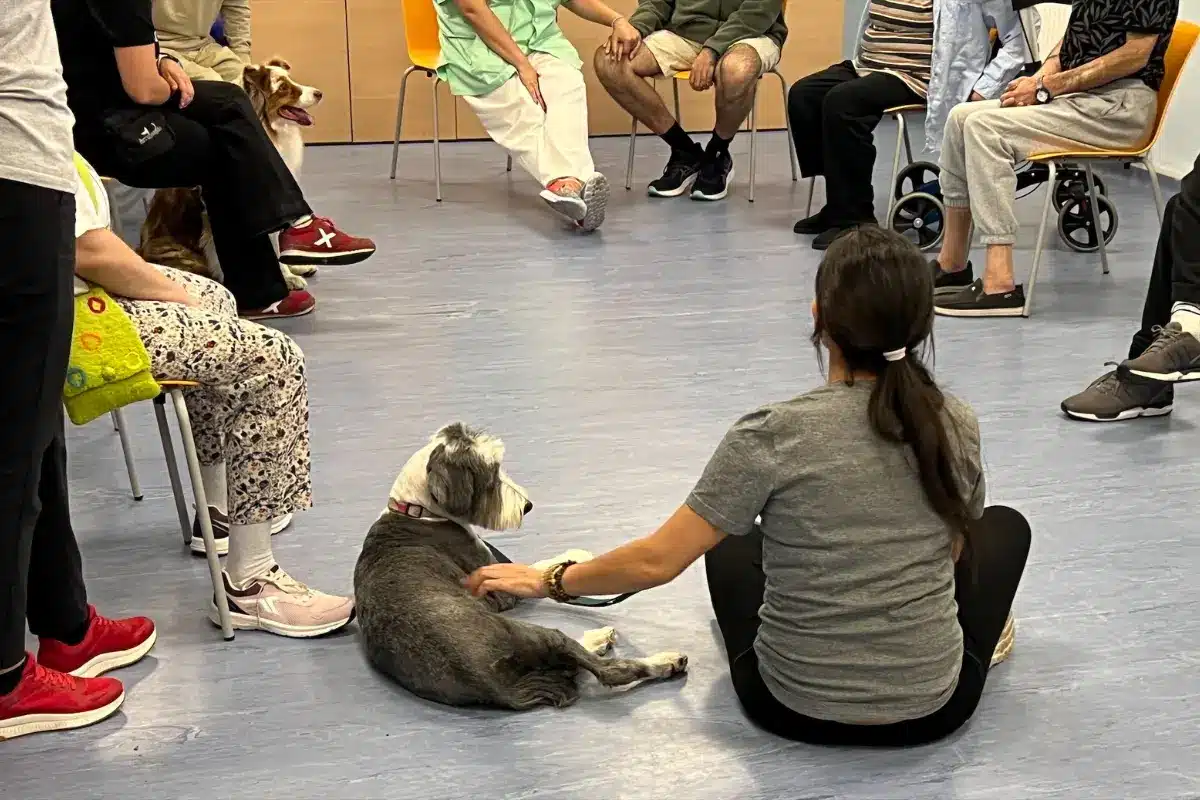 terapia con perros para trastornos mentales