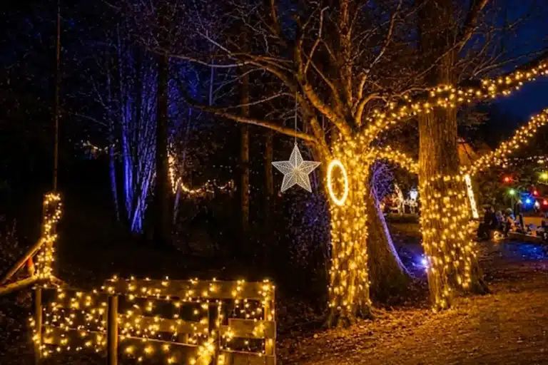 Valle de la Navidad Madrid 2026
