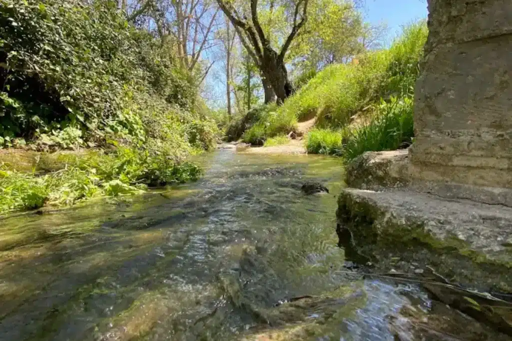 arroyo Meaques parque del lince Casa de Campo