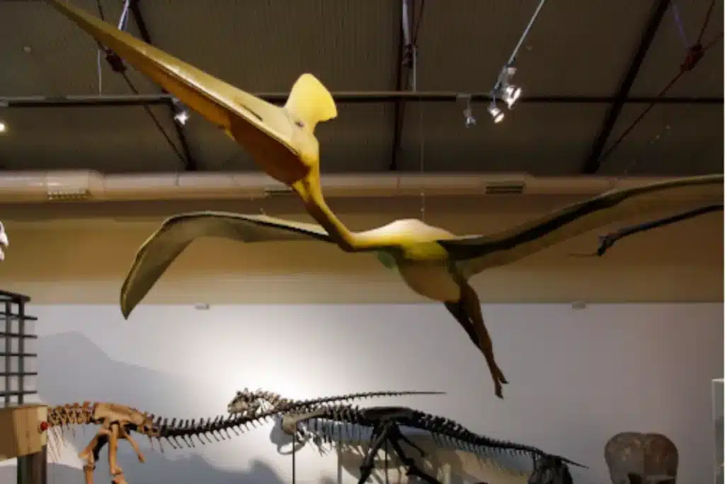 museos de ciencias naturales