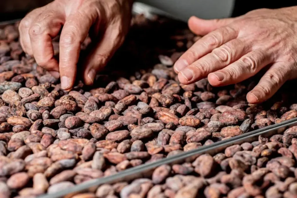 Kaicao Bean to Bar