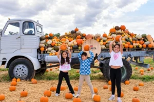 Pumpkin Patch en La Huerta de Aranjuez